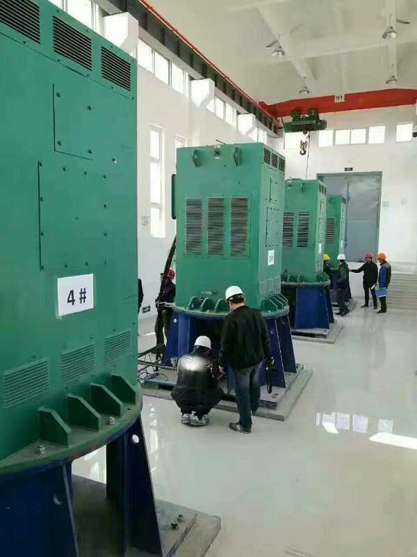 YKS5601-12某污水处理厂使用我厂的立式高压电机安装现场