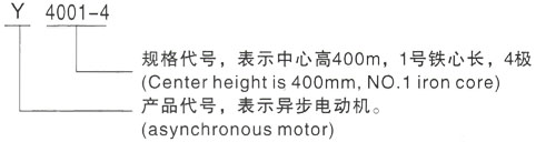 西安泰富西玛Y系列(H355-1000)高压YKS5601-12三相异步电机型号说明