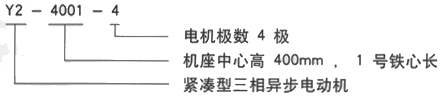 YR系列(H355-1000)高压YKS5601-12三相异步电机西安西玛电机型号说明